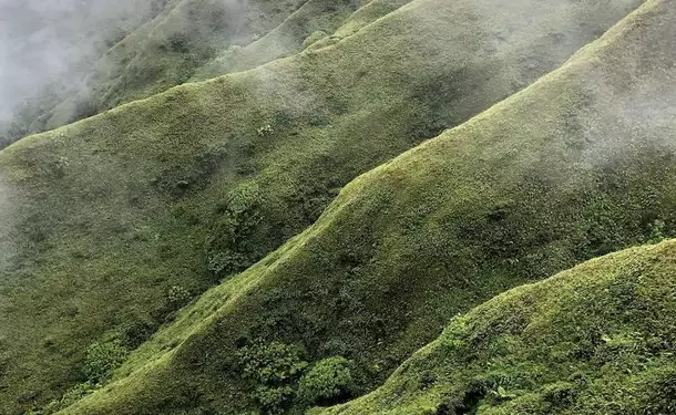 Ascent to the crater of Mount Pelee