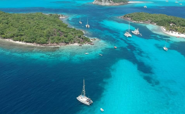 Journée catamaran en petit comité avec les tortues