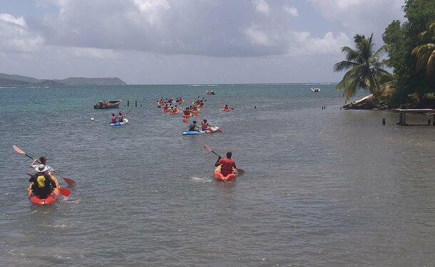 Balade en kayak à l'ilet Chancel, l'île des iguanes