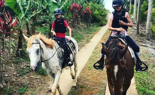 Horse & river for an enchanted ride