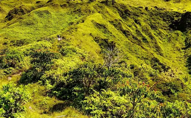 Ascent to the crater of Mount Pelee