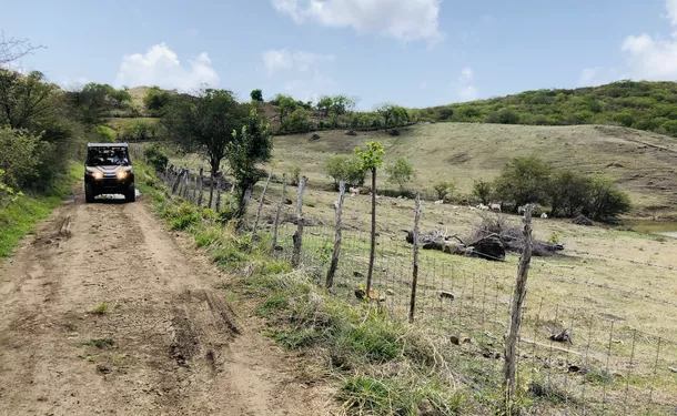 Tropical buggy adventures in the South