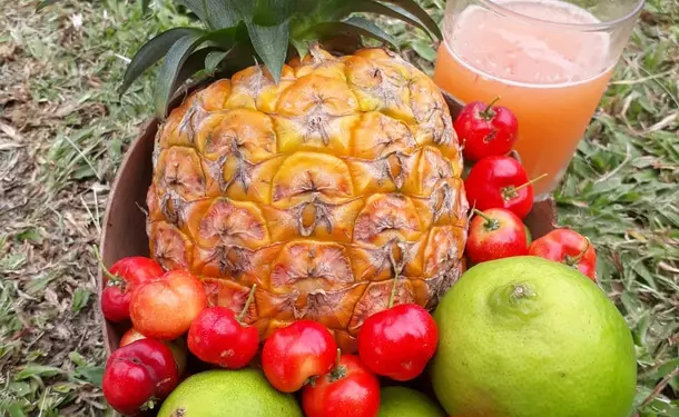 Gourmet crossing to the North Caribbean