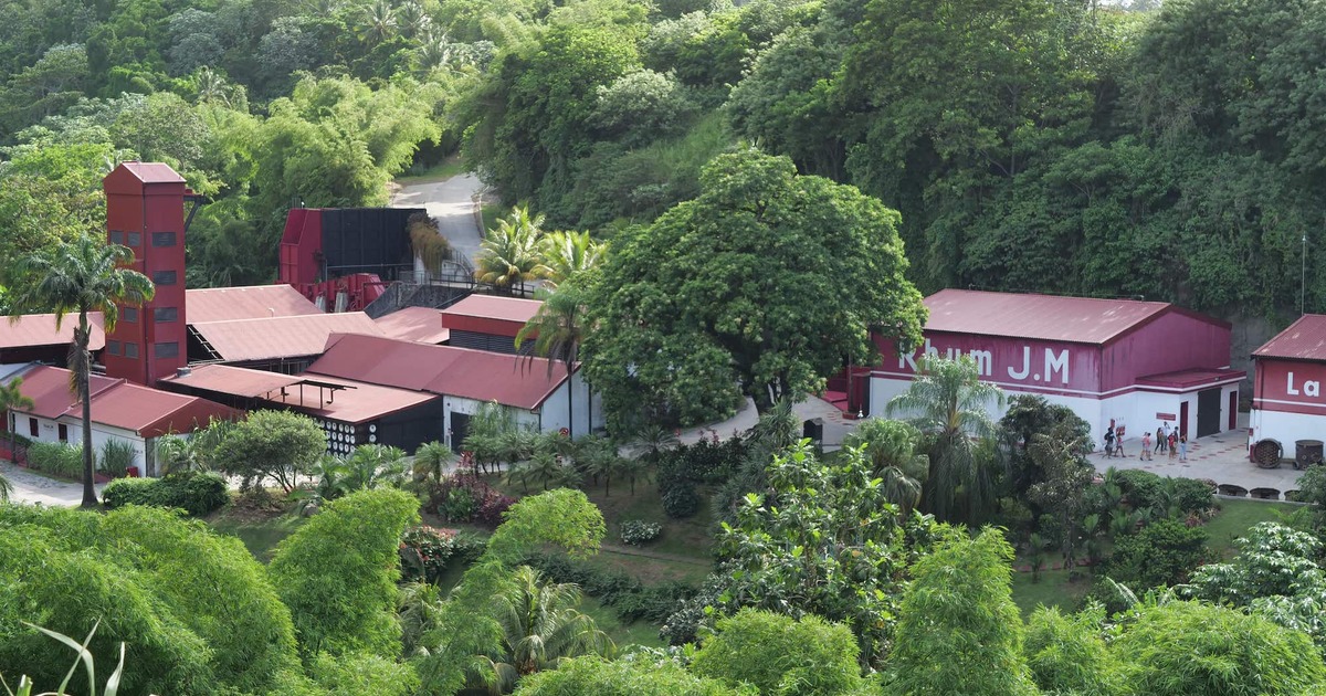 Distillerie Martinique : visite rhumerie et dégustation, histoire du rhum
