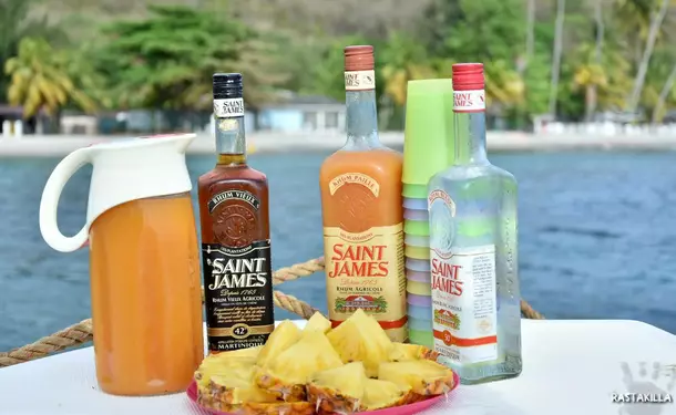 Discovery of the mangrove and the South Caribbean coast