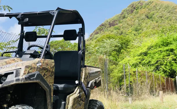 Aventures tropicales en buggy dans le Sud