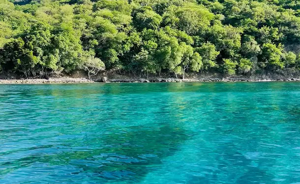 Day trip to the Caribbean coast, Rocher du Diamant or Montagne Pelée