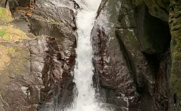 Rando Dlo - Wellness hike at the foot of the Pitons du Carbet