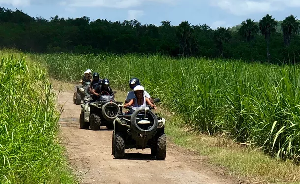 Aventure tropicale en quad hors des sentiers