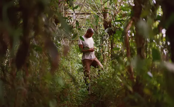 Discovery of an Agro-Farm & its Vanilla plantation