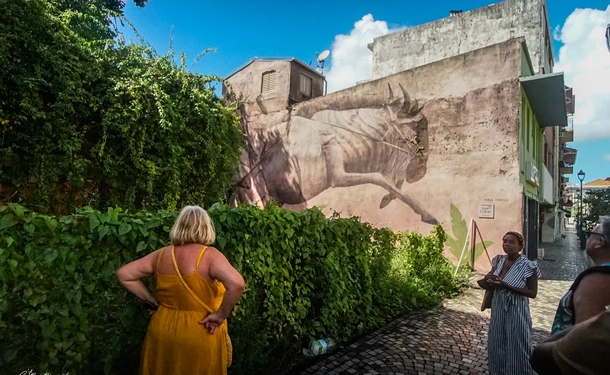 Street Art Tour in the heart of Fort-de-france