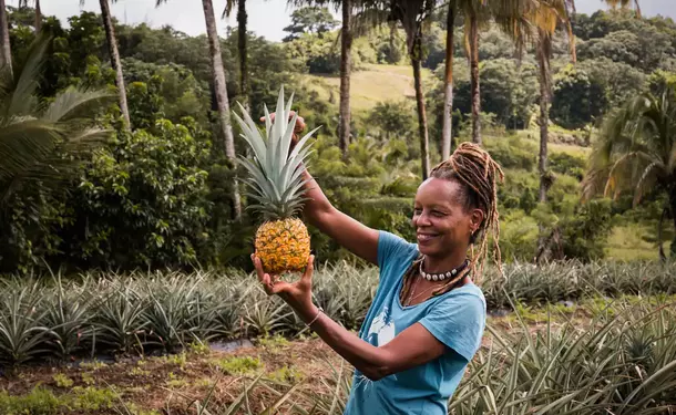 Discovery of an Agro-Farm & its Vanilla plantation