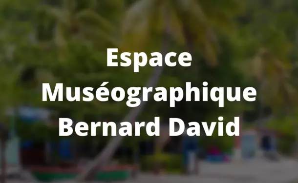 The Bernard David Museographic Space
