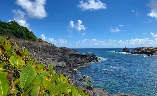 Discovering the small circuit of the Caravelle