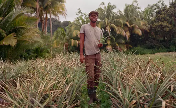 Découverte d'une Agro-Ferme & sa Vanilleraie