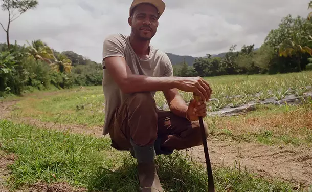 Découverte d'une Agro-Ferme & sa Vanilleraie