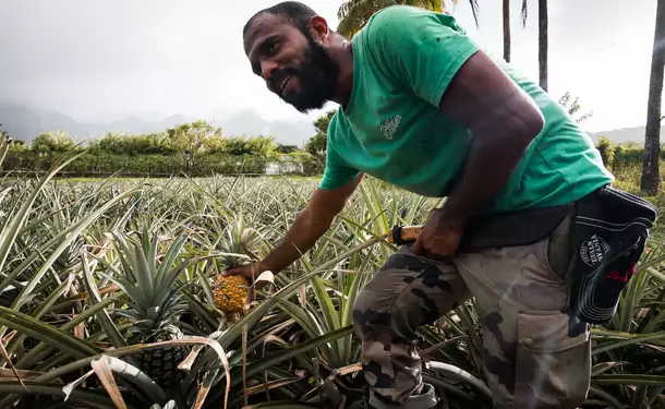 Discovery of an Agro-Farm & its Vanilla plantation