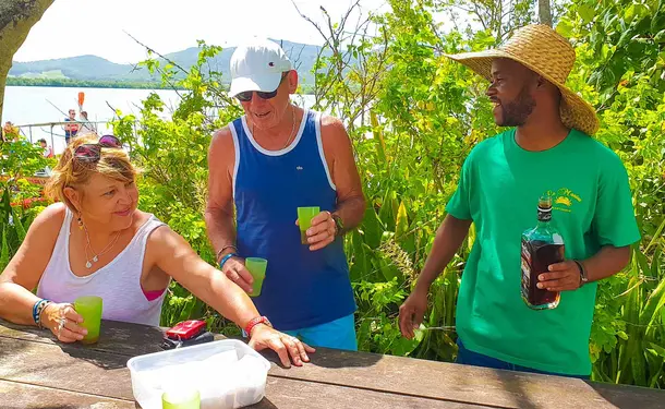 Immersion in the mangrove of Génipa