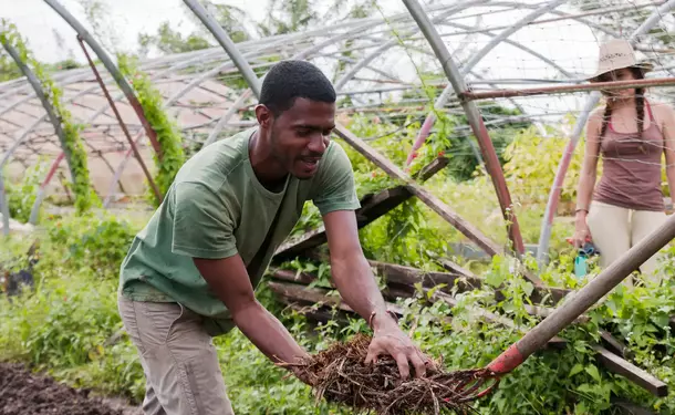 Discovery of an Agro-Farm & its Vanilla plantation