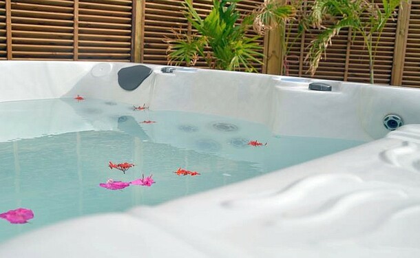 Tante Arlette Restaurant Hotel ⭐️⭐️⭐️