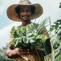 <span class="translation_missing" title="translation missing: fr.pages.partials.home_percs_hosts.photo_of_host, host_name: Renaud">Photo Of Host</span>