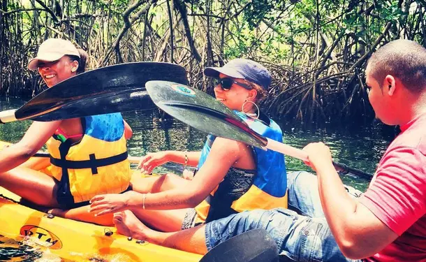 Kayaking in the mangrove of Trois-Ilets
