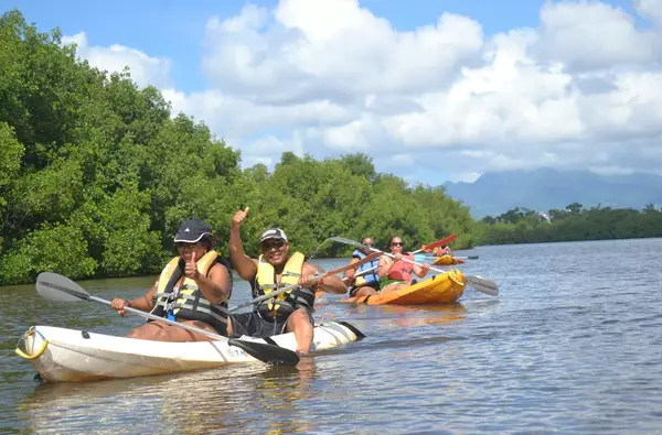 Randonnée en Kayak dans la mangrove des Trois-Ilets