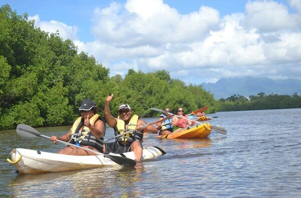Kayaking in the mangrove of Trois-Ilets