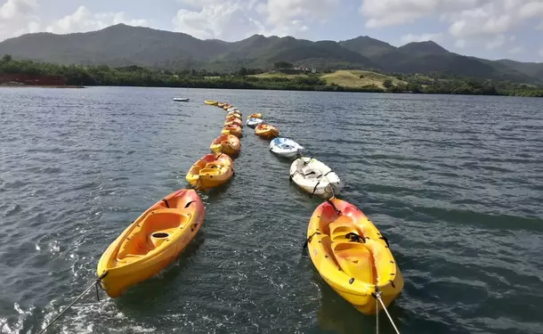 Randonnée en Kayak dans la mangrove des Trois-Ilets