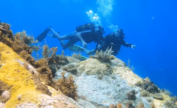 Baptême de plongée en mer des caraïbes