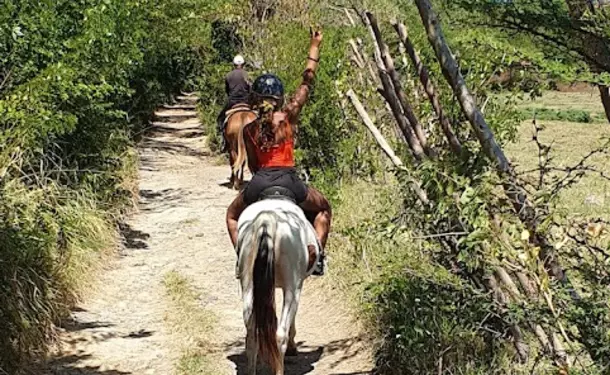 Horseback riding along the coastline of Macabou Cove