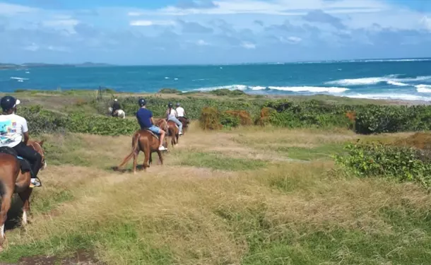 Horseback riding along the coastline of Macabou Cove