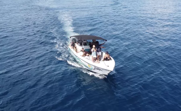 Matinée au nord caraïbe avec les dauphins