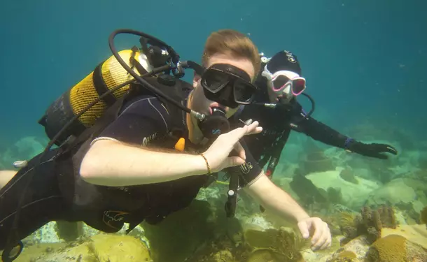 First dive in the Caribbean Sea