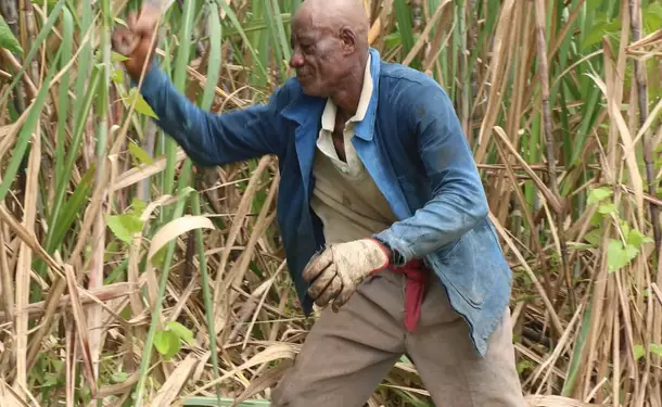 La Favorite Distillery