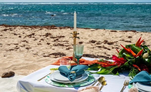 Chic picnic & outdoor massage