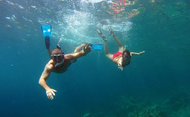 Afternoon in the South Caribbean with the turtles