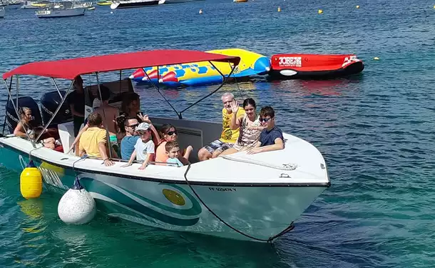 Après-midi au sud caraïbe avec les tortues