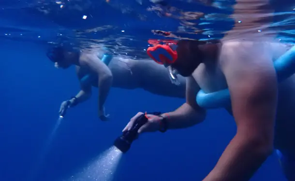 Aventure aquatique découvrez le snorkeling sous les étoiles