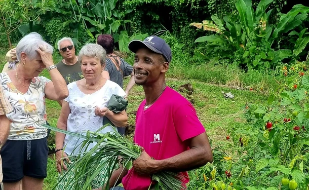 Day Culinary workshop & Bèlè dance