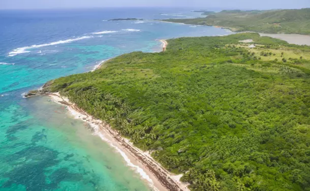 Survolez la Martinique à bord d'un autogire (30mins)