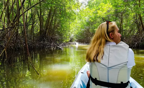 Petite randonnée guidée en Kayak dans la mangrove des Trois-Ilets