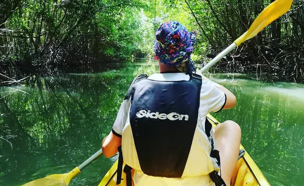 Petite randonnée guidée en Kayak dans la mangrove des Trois-Ilets