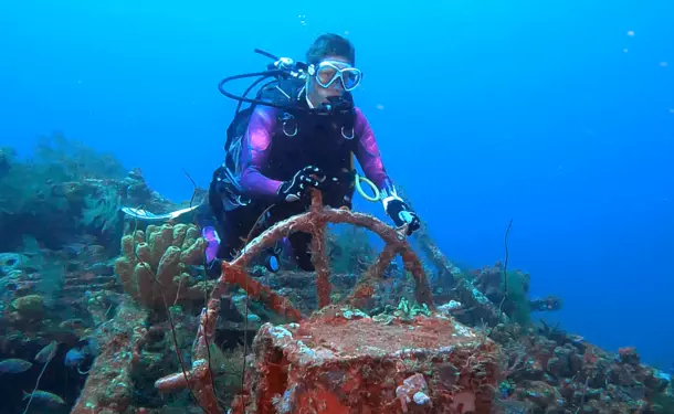 Diving trip in the Caribbean Sea (for graduates)