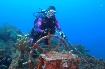 Escapade plongée en mer des caraïbes (pour diplômés)