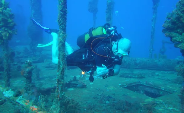 Escapade plongée en mer des caraïbes (pour diplômés)