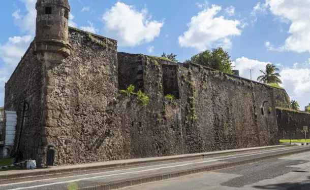 The Saint Louis Fort