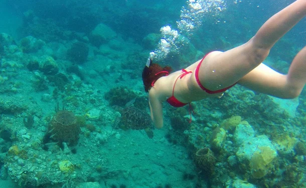 Journée bateau à la carte entre le nord et le sud