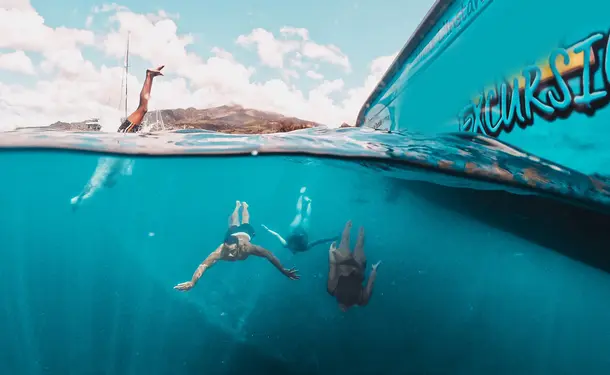 Half day swimming and dolphins on the Caribbean coast
