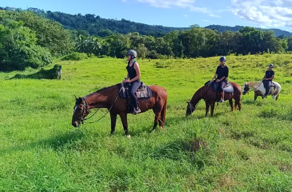 Discovery horse ride in Goyave
